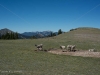 PKS_3540