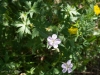 PKS_3574