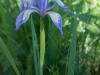 PKS_3576