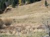 PKS_3757